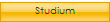 Studium